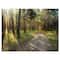Designart - Road Through Green Pine Forest - Landscape Photography Canvas Print